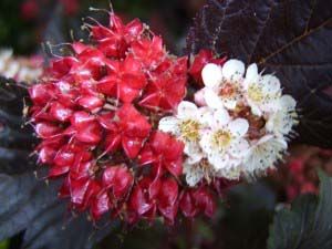 PHOMIDNI_20140416154359_xlarge.jpeg