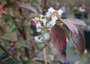 VIBDAWN_20221024155357.JPG