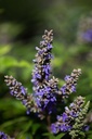 VIACBPUF_20200817164214_xlarge.jpeg