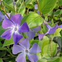 VIMAJOR_20230811142903.jpg