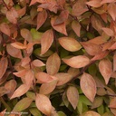 ABGCCHAR_20230811153836.jpg