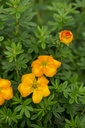 POTFMTAN_20120411232408.jpg