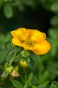 POTFMTAN_20120411232420.jpg