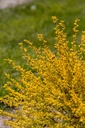 PHOLUDEV_20210512103626.jpg