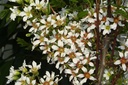 XASORBIF_20070424153144.jpg