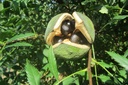 XASORBIF_20130821162838.jpg
