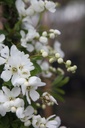 EXBRIDE_20240405140331.JPG