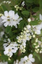 EXBRIDE_20240405140021.JPG