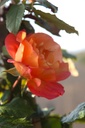 ROWESTER_20240511090503.JPG