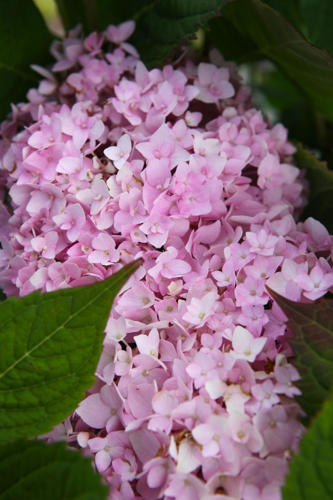 HYMESORI_20240708092635.JPG