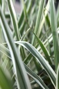 ARDVERSI_20240709105705.JPG