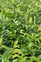 PRLNOVIT_20240710120338.JPG