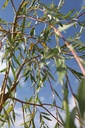 SASCHRYS_20240711102515.JPG