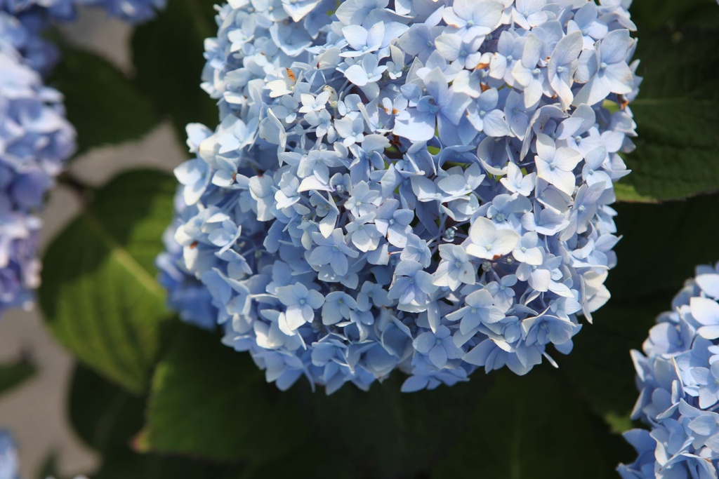 HYMESORI_20240719092811.JPG