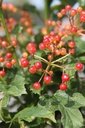 VIPKSUNR_20240719135036.JPG