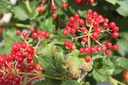 VIOCOMPA_20240805134820.JPG