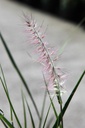 PEOJDWME_20240805112558.JPG