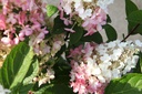 HYPPWINK_20240806093135.JPG