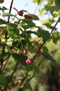 EUPLANIP_20240808095053.JPG