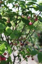 EUPLANIP_20240808095054.JPG