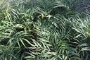 MAESCARE_20240808083721.JPG