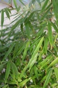 FARFORMI_20240914085728.JPG