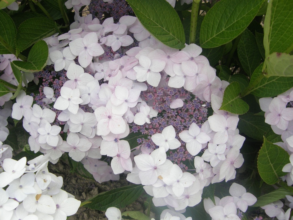 HYCLOUDI_20160708130416_xlarge.jpeg