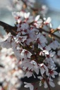 PRSFOUNT_20250329102516.JPG