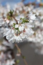 PRSFOUNT_20250329115124.JPG