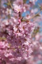PRSFUKUB_20250329122520.JPG