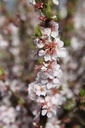 PRTOMENT_20250329114527.JPG