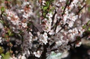 PRTOMENT_20250329114541.JPG