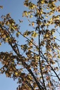 ACPALMAT_20250329122926.JPG