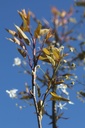AMBALLER_20250329104613.JPG