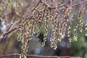 CHPRAECO_20250322093222.JPG