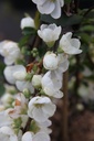 CHSJTRAI_20250322093058.JPG
