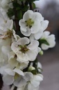 CHSJTRAI_20250322120648.JPG