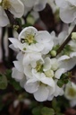 CHSJTRAI_20250322120651.JPG