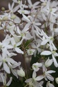 CLARMAND_20250322101020.JPG