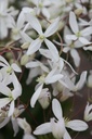 CLARMAND_20250322101044.JPG