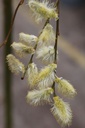 SACKILMA_20250322121902.JPG