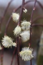 SACKILMA_20250322121912.JPG