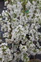 MASTYME_20250416135626.JPG