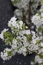MASTYME_20250416135633.JPG