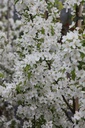 MASTYME_20250416135636.JPG