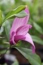 MASUSAN_20250416142611.JPG