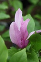 MASUSAN_20250416163149.JPG