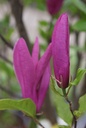MASUSAN_20250416164749.JPG