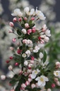 MATTINA_20250416104059.JPG