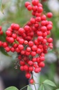 NADOMEST_20250416164511.JPG